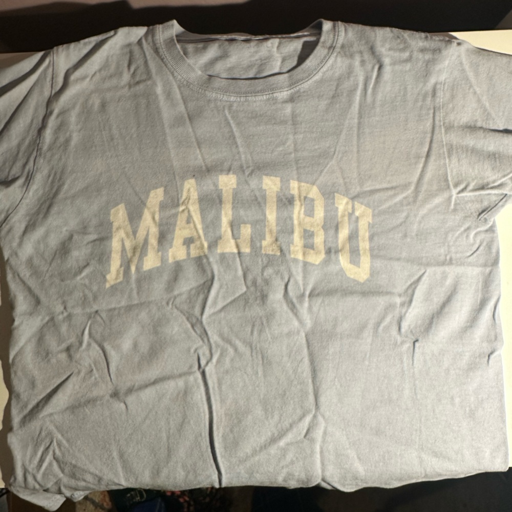 Brandy Melville crop top T-shirt